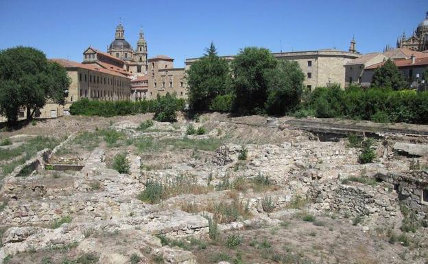 El Consistorio licita por 767.000 euros las obras de musealización de los restos del Botánico