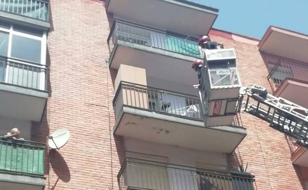 Detenida la dueña de un perro que murió asfixiado tras un posible golpe de calor en Valladolid