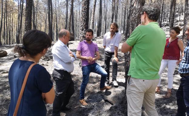 Tudanca: «La Junta no está a la altura ni antes ni durante ni después» de los incendios