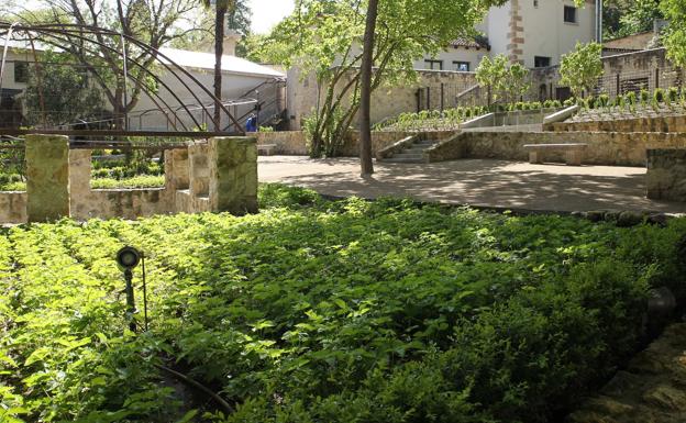 La música realzará la belleza del Jardín del Rey las noches de los lunes