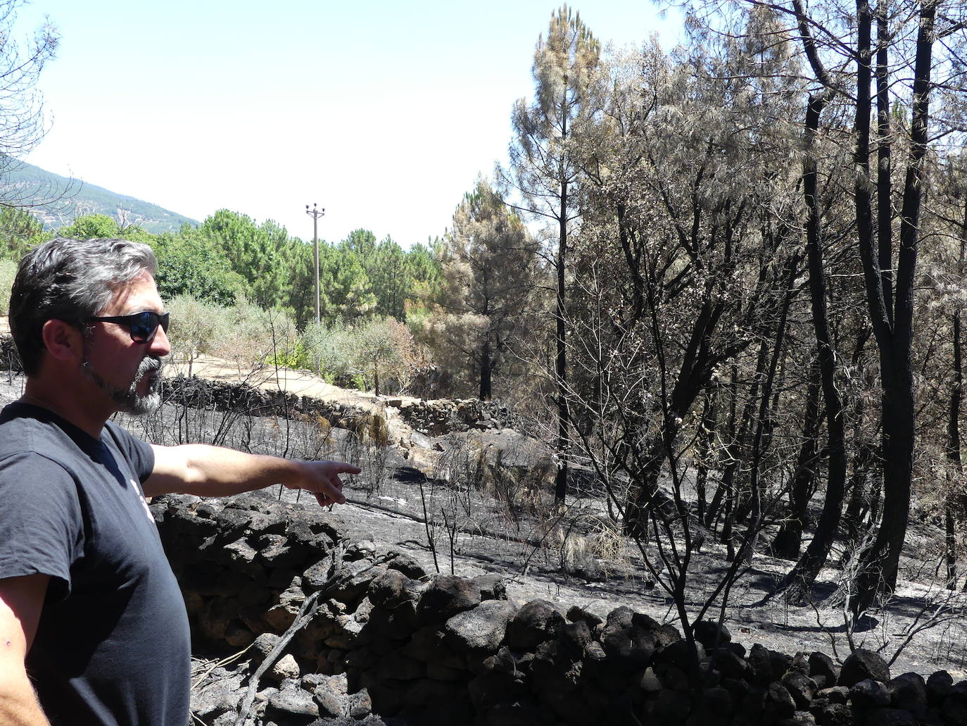 Así ha quedado la provincia de Ávila después de los incendios