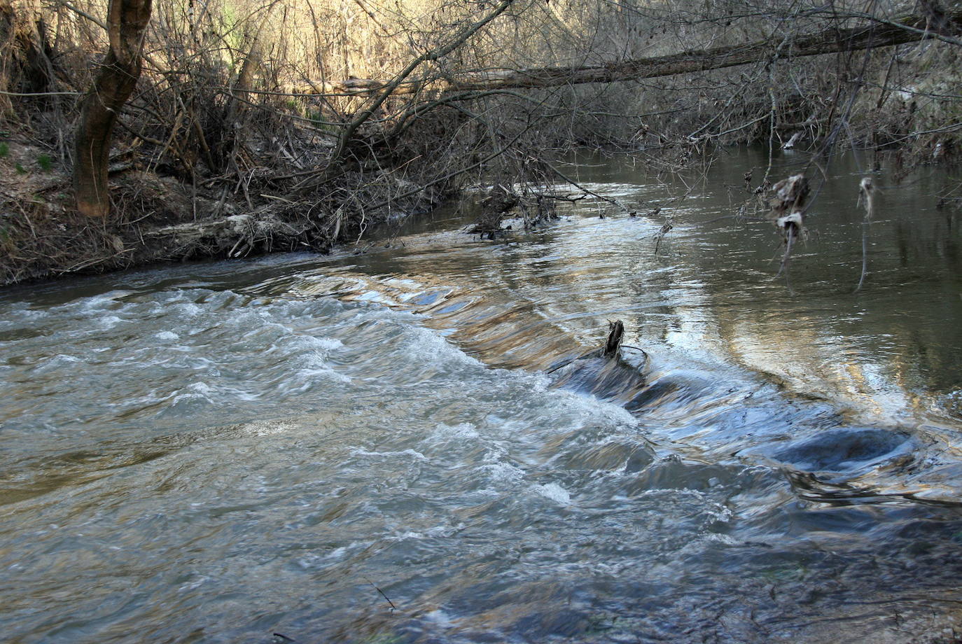 El Cega, un río abocado a pasar muchos meses sin llevar agua a finales del siglo