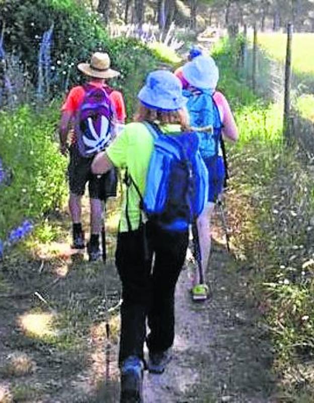 250 participantes en el Día del Senderismo