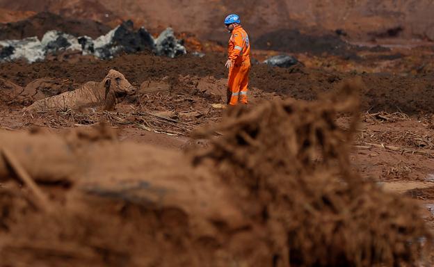 El gigante minero Vale, condenado por la rotura de una represa de residuos en Brasil