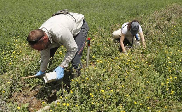 Confirmados dos nuevos casos de tularemia en Palencia y ya hay 54 afectados en la provincia