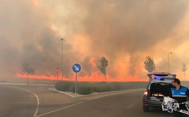 Arden más de seis hectáreas de cereal en los accesos a RÍO Shopping en Valladolid