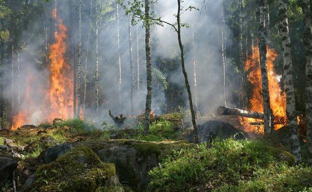 Controlado el incendio en la localidad abulense de Sotillo de la Adrada seis días después