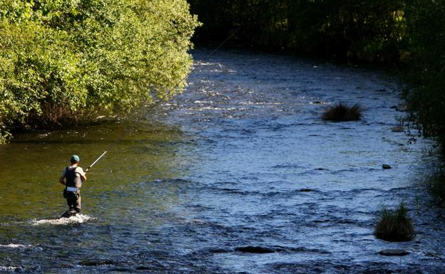 Fallece un pescador de 68 años al caer al río en un pueblo de Soria