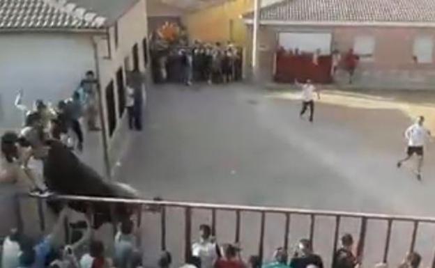 El espectacular vídeo del toro que impactó contra un muro durante un encierro en Cañizar, Guadalajara