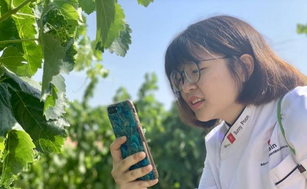 La rica despensa de Castilla y León, a mano de futuros cocineros de Estados Unidos y Hong Kong