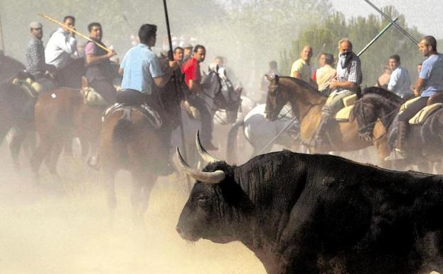 Consulta aquí los programas de fiestas de los pueblos de Valladolid