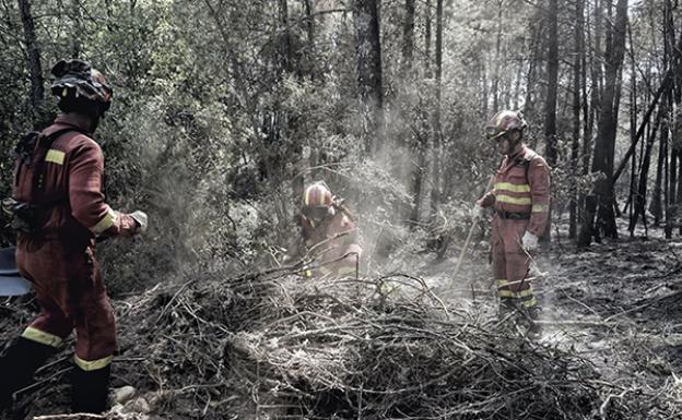 El fuego en la localidad abulense de Poyales del Hoyo se reproduce y obliga a cortar la CL-501