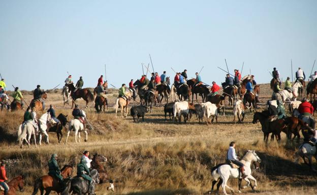 El aluvión de peticiones de caballistas para el encierro de Cuéllar obliga a ampliar el plazo