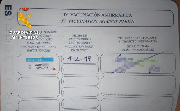 Investigado en Burgos por falsificar el pasaporte sanitario de su perro