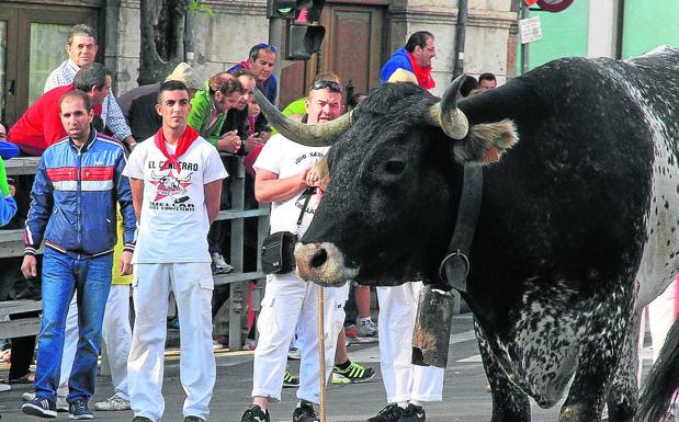 Los aficionados vuelven a reclamar menos cabestros durante el encierro de Cuéllar