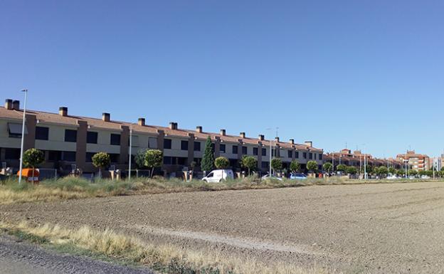 Vecinos de Laguna piden educar y concienciar a la población contra el cambio climático