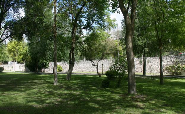 El Ayuntamiento de Cuéllar tala árboles en mal estado y prohíbe el uso del glifosato