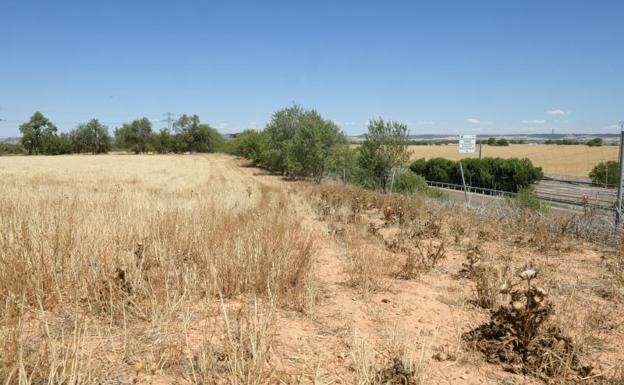 El Ayuntamiento de Valladolid se libra de indemnizar con 621.274 euros a la inmobiliaria Algom