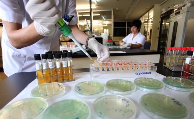 La UVa participa en un proyecto que puede mejorar la seguridad de los alimentos