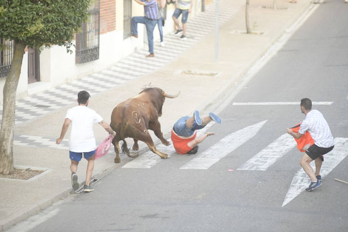Corneado en el encierro de La Seca