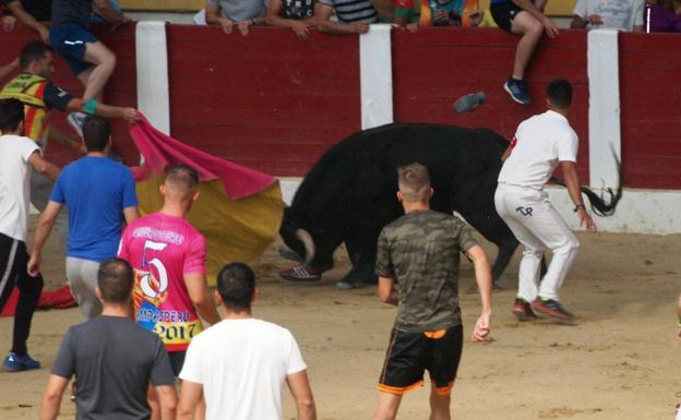 Un joven de 33 años, corneado en un gemelo en la plaza de toros de Íscar