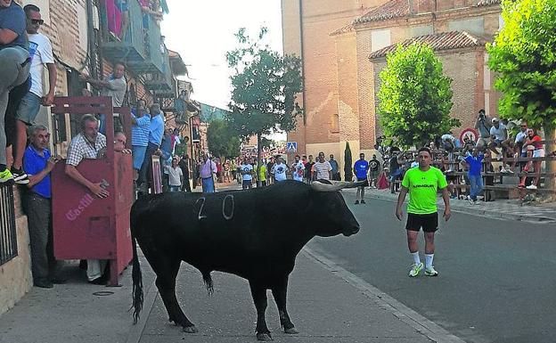 La Seca vibra con los encierros y un taller de cortes en el primer día de sus festejos