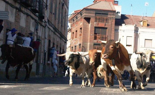Rubén Pinar sale triunfador, con una oreja, de la primera corrida de abono en Íscar