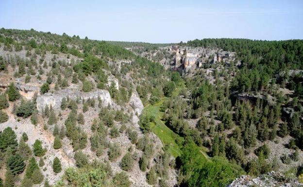 El proyecto Incendios Zero de Asfoso ha finalizado el primero de los cuatro cinturones