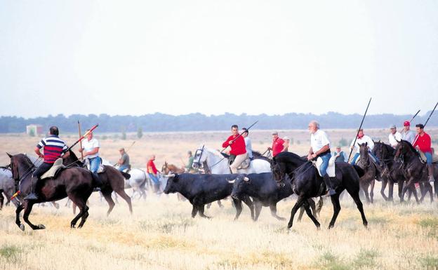 Abierto el plazo de inscripción para caballistas en los encierros de Medina