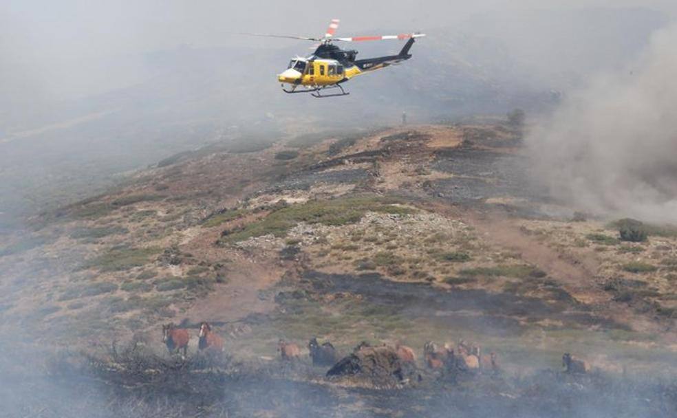 El detenido por quemar 400 hectáreas de sierra en La Granja declarará este miércoles ante la jueza
