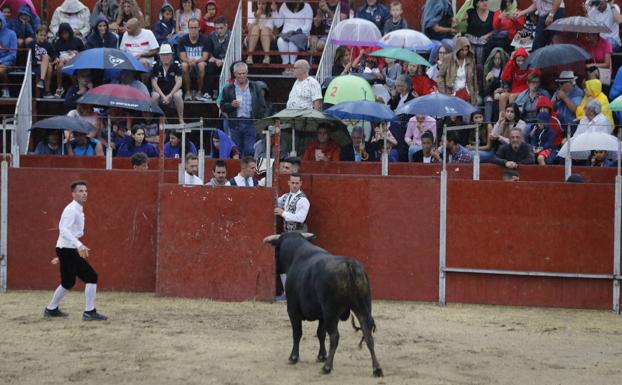 La lluvia obliga a suspender el concurso de cortes y saltos de Campaspero