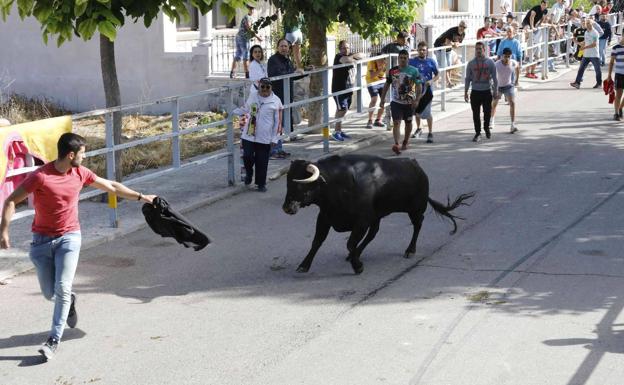 Un multitudinario encierro y el toro del cajón llenan las calles de Campaspero