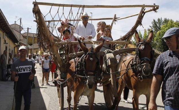 Los topillos no frenan el trillo