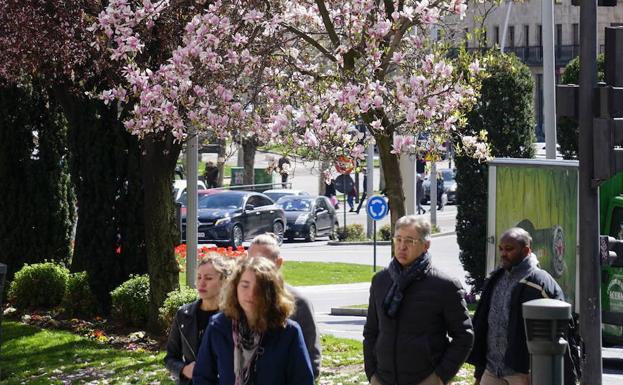 Salamanca, entre las provincias españolas con menos masa forestal