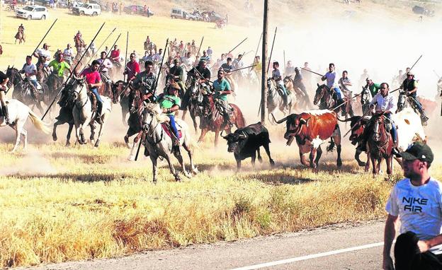 La cifra de festejos taurinos cae en la provincia de Valladolid por primera vez en cinco años