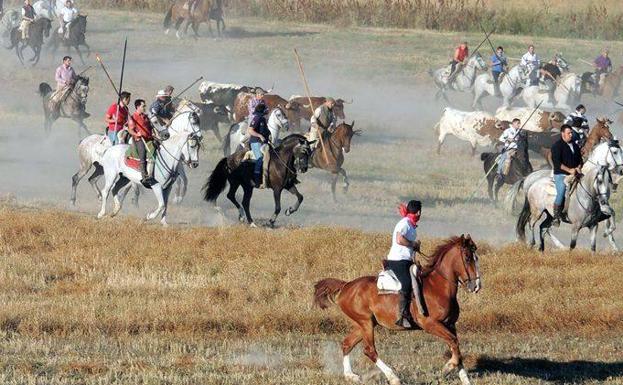 Mozoncillo celebra tres décadas de sus encierros a caballo