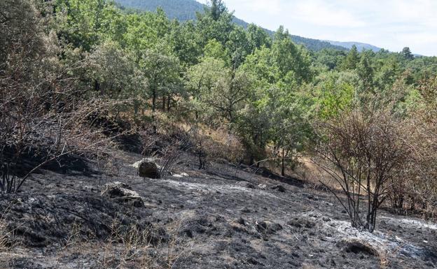 Los propietarios de Caserío de Urgel aseguran que el incendio de La Granja era «la crónica de un desastre anunciado»