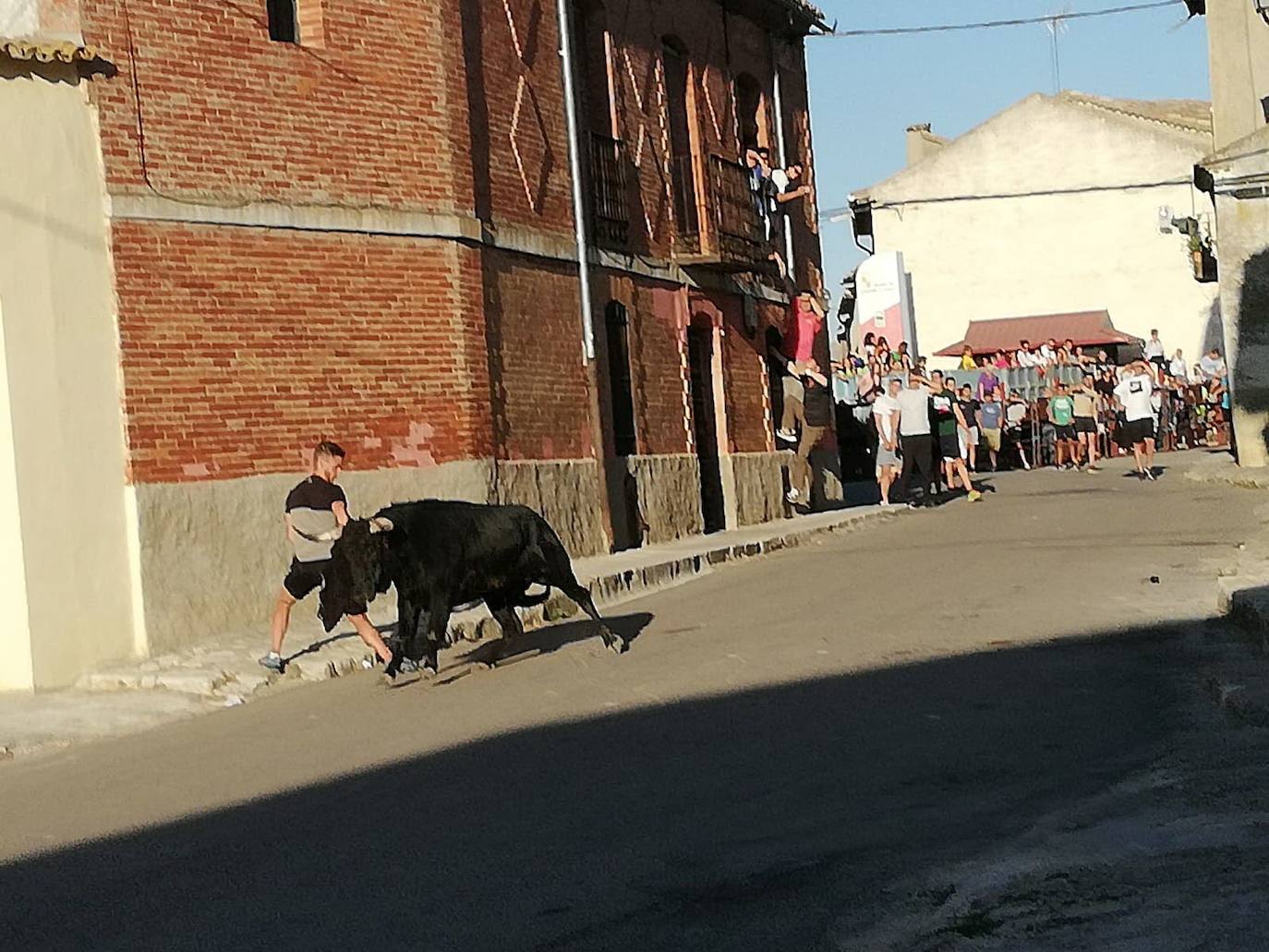 Consulta el programa de las fiestas de Tiedra