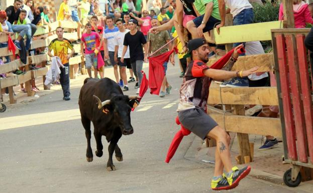 Catorce municipios de Palencia celebran espectáculos taurinos este año, dos menos que en 2018