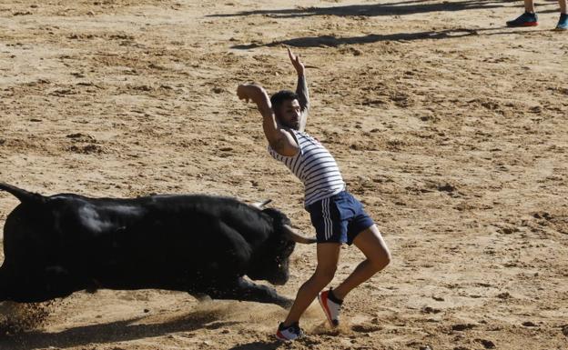 Veloz primer encierro en Peñafiel sin incidentes y con mucho público