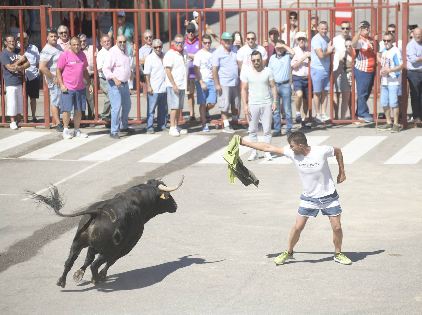 Cuarto encierro de las fiestas de Rueda 2019