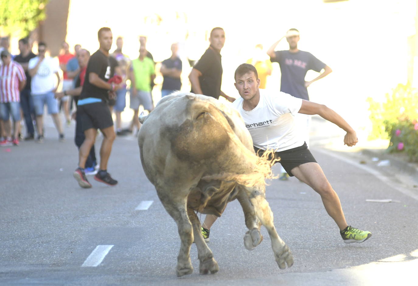 Encierro dle viernes por la tarde en Pollos