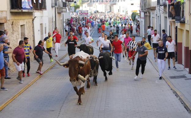 Peñafiel disfruta del tercer encierro sin incidentes y de una entretenida capea