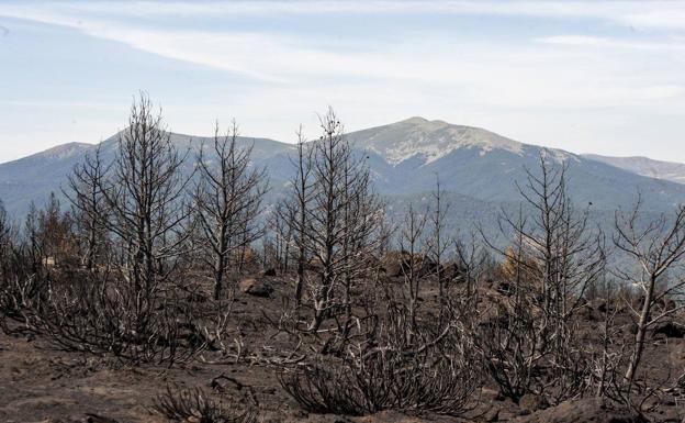 Los agentes continúan con la vigilancia permanente del área afectada en La Granja