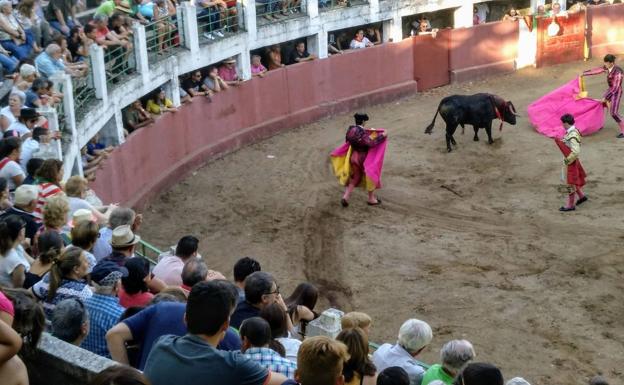 Los toros, protagonistas en las fiestas de Sequeros y Linares de Riofrío