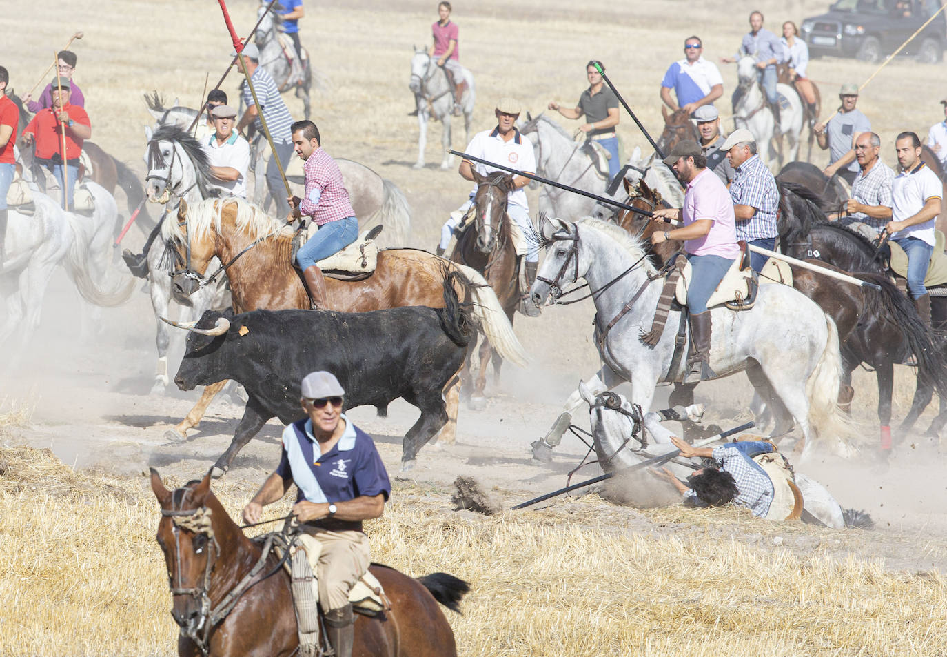 Encierro en Aldemayor de San Martín