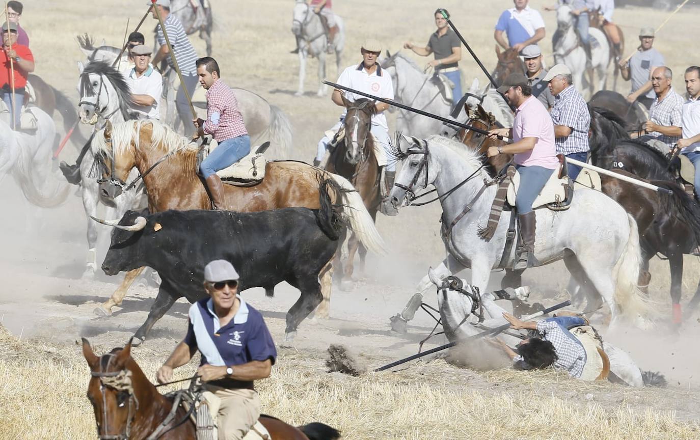 Caída de un caballista en el encierro de Aldemayor de San Martín