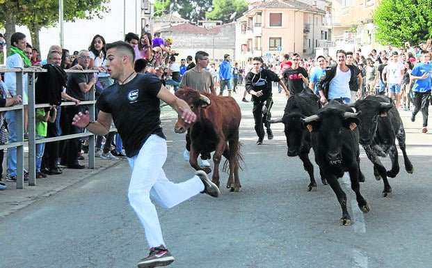 La Junta ha autorizado hasta ahora 70 festejos taurinos en la provincia