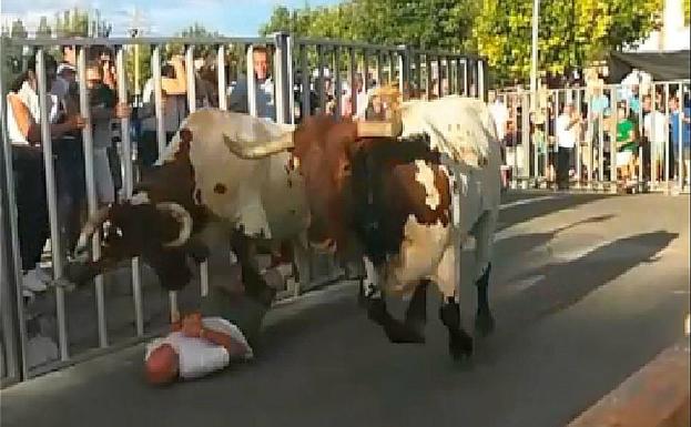 Herido al ser arrollado por los cabestros tras despistarse en el encierro vespertino de Coca