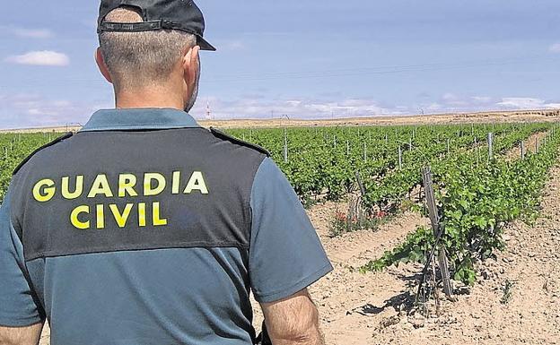 La Guardia Civil localiza a una persona de avanzada edad que se encontraba desaparecida en Pesquera de Duero